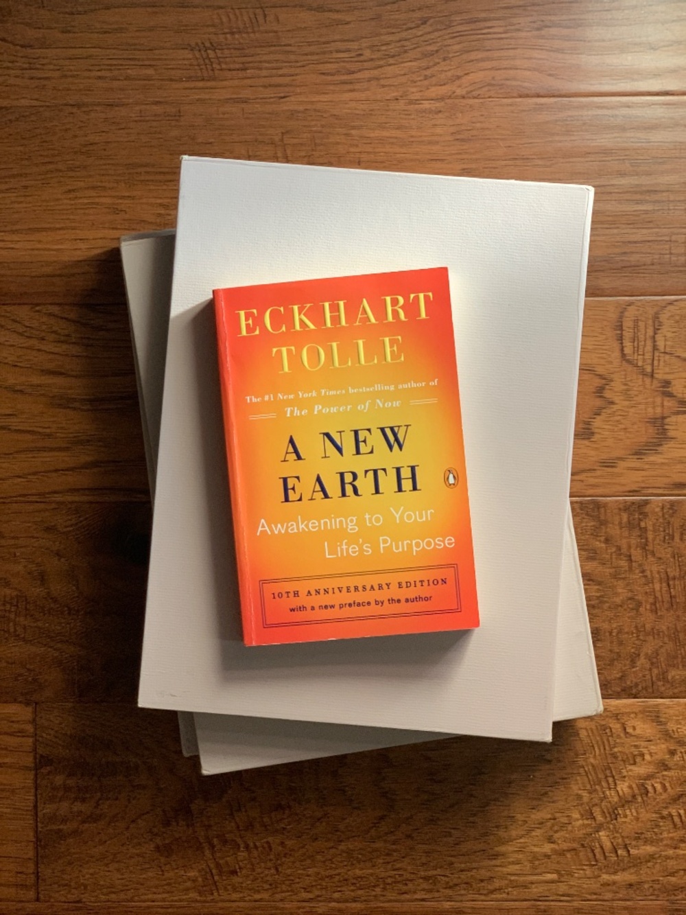 A New Earth: Awakening to Your Life's Purpose